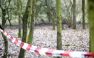 66-latek został przygnieciony przez drzewo. Mężczyzna zginął na miejscu
